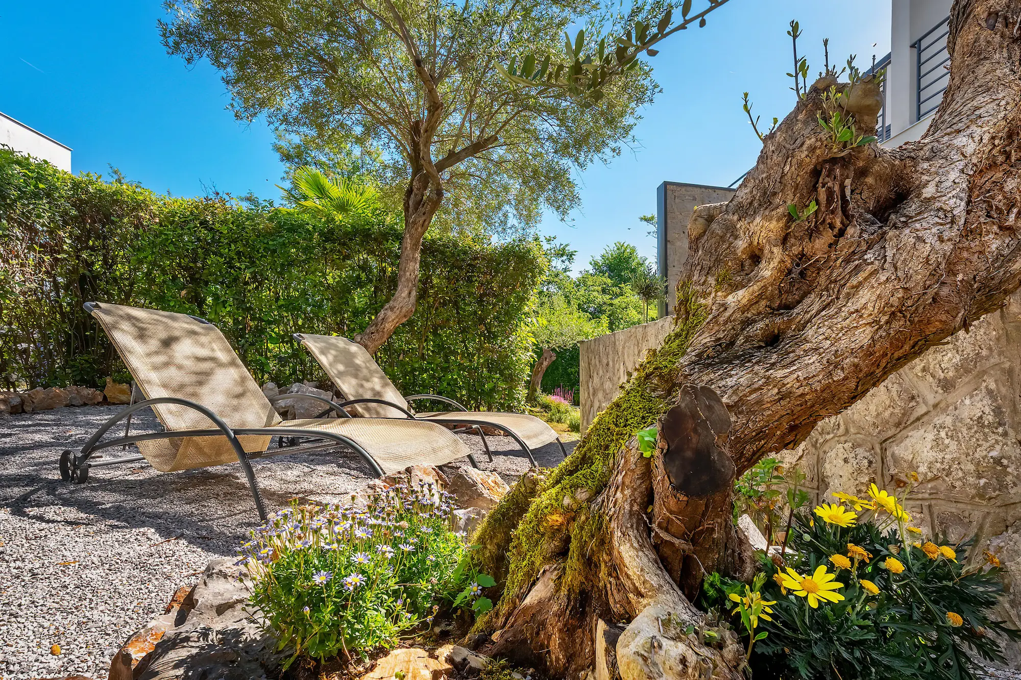 House Maxim - Spacious Terrace and Garden